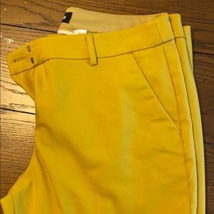 Express Columnist Ankle Pant